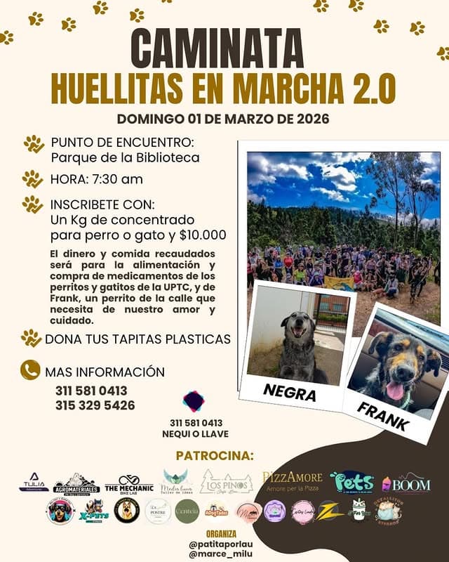 Caminata Huellitas En Marcha 2.0