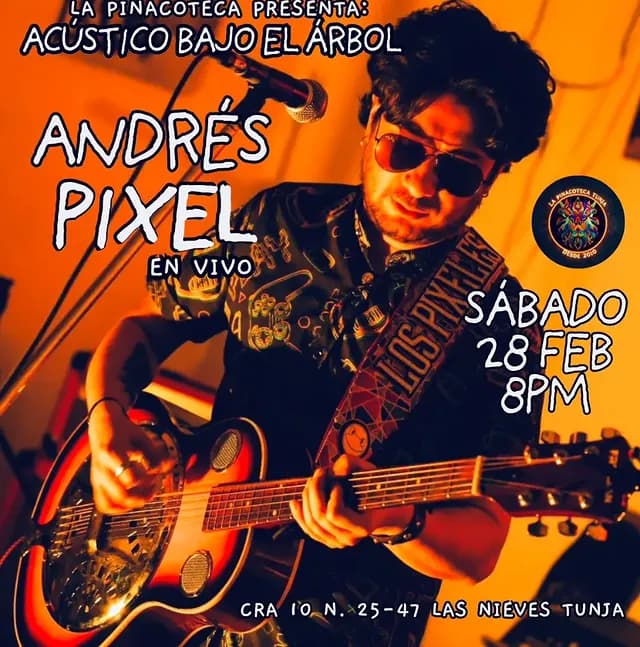 Rock y Blues en La Pinacoteca