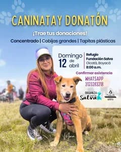 Segunda Caninata de la Fundación Salva 2026